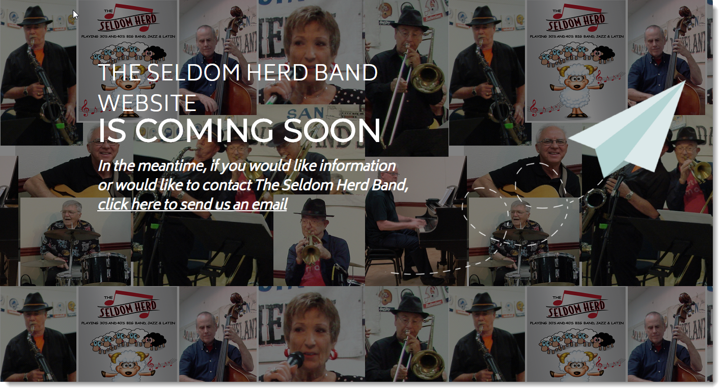 Seldom-Herd band